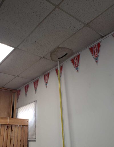 2146446 Alberta Ltd.