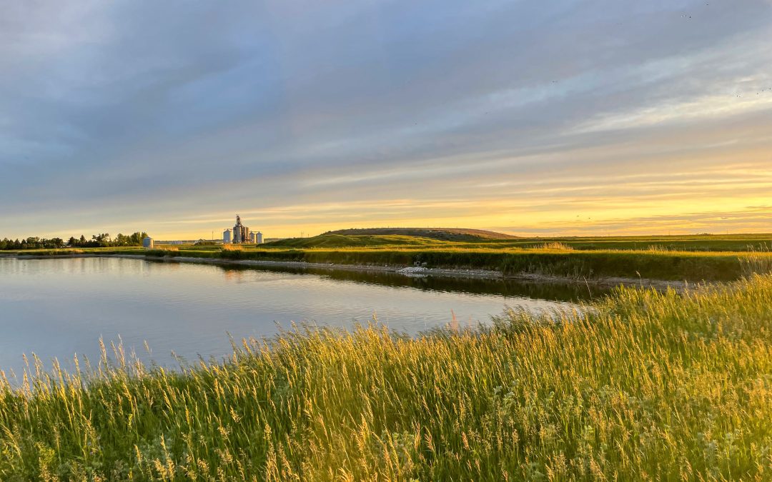 Town of Grenfell – Wastewater Treatment UpgradesInfrastructure, Water and Wastewater TreatmentClient: Town of Grenfell, SKYear: 2025Services: Civil, Design-Build